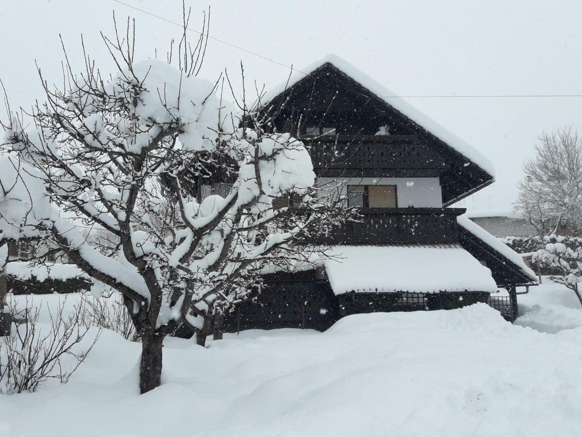 Snežak  Apartment Bohinj Bagian luar foto