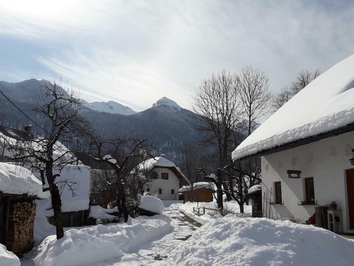 Snežak  Apartment Bohinj Bagian luar foto