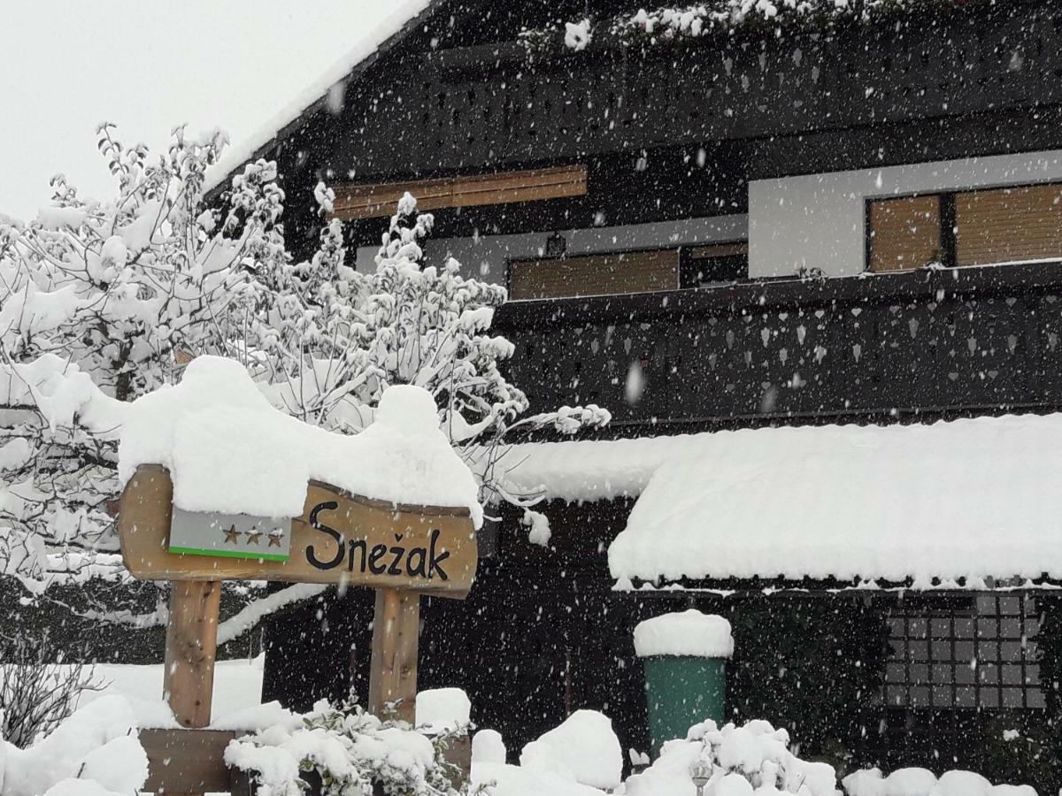 Snežak  Apartment Bohinj Bagian luar foto