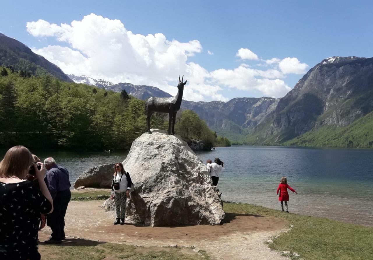 Snežak  Apartment Bohinj Bagian luar foto